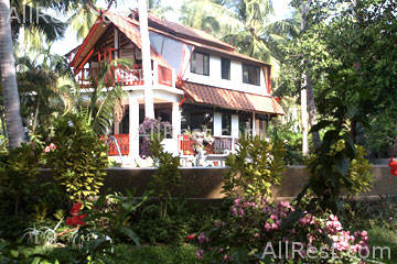 Coconut River 25